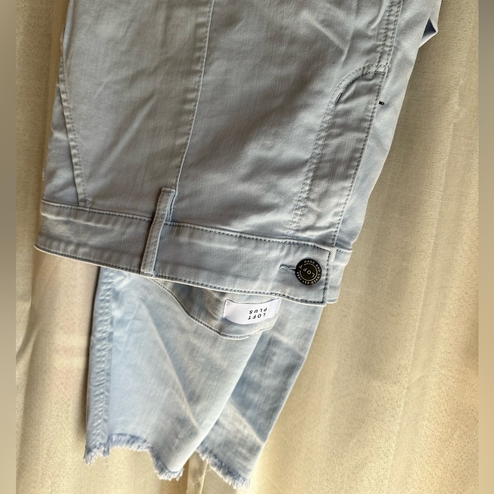 Loft Plus ankle pant size 18